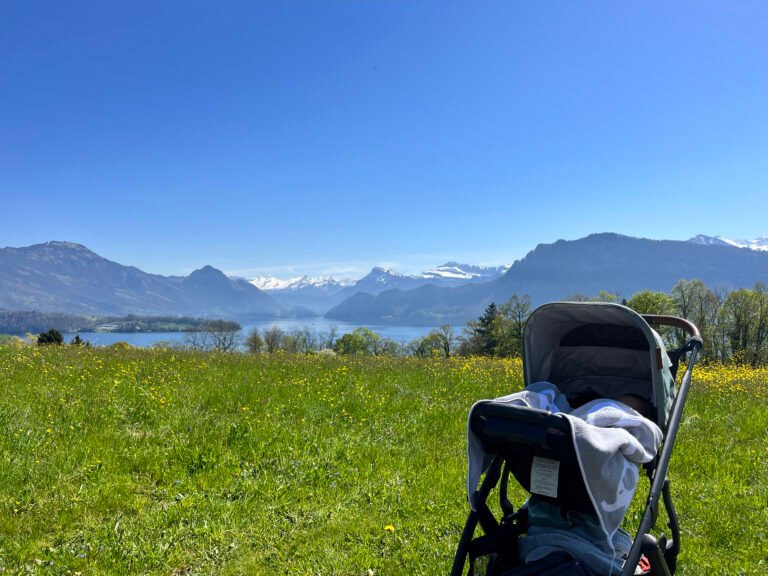 Uppababy Vista Erfahrungen nach 3 Jahren: Vorteile & Nachteile